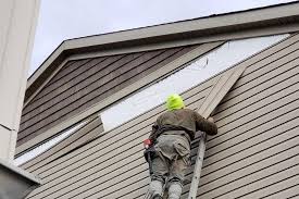 Best Custom Siding Design  in Homer, AK